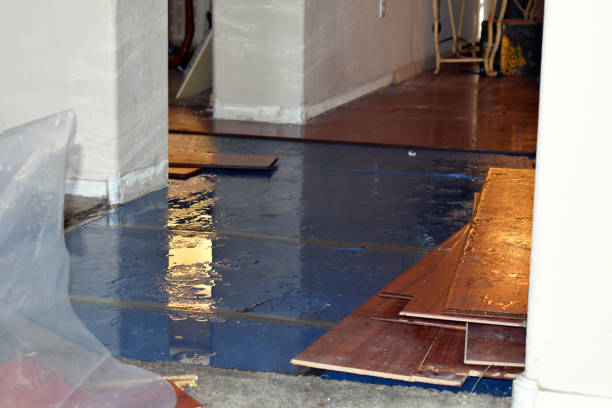 Professional Flood Cleanup technician working in Conroe, TX